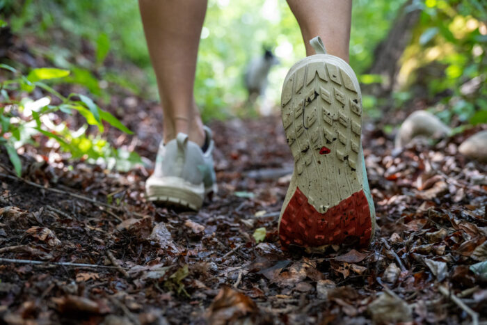 Close up of a trail running shoe on a forested trail