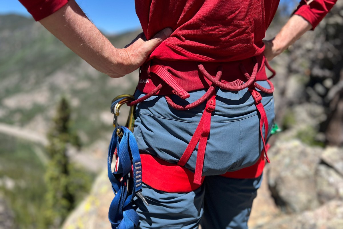 Rear view of a red harness with adjustable leg straps