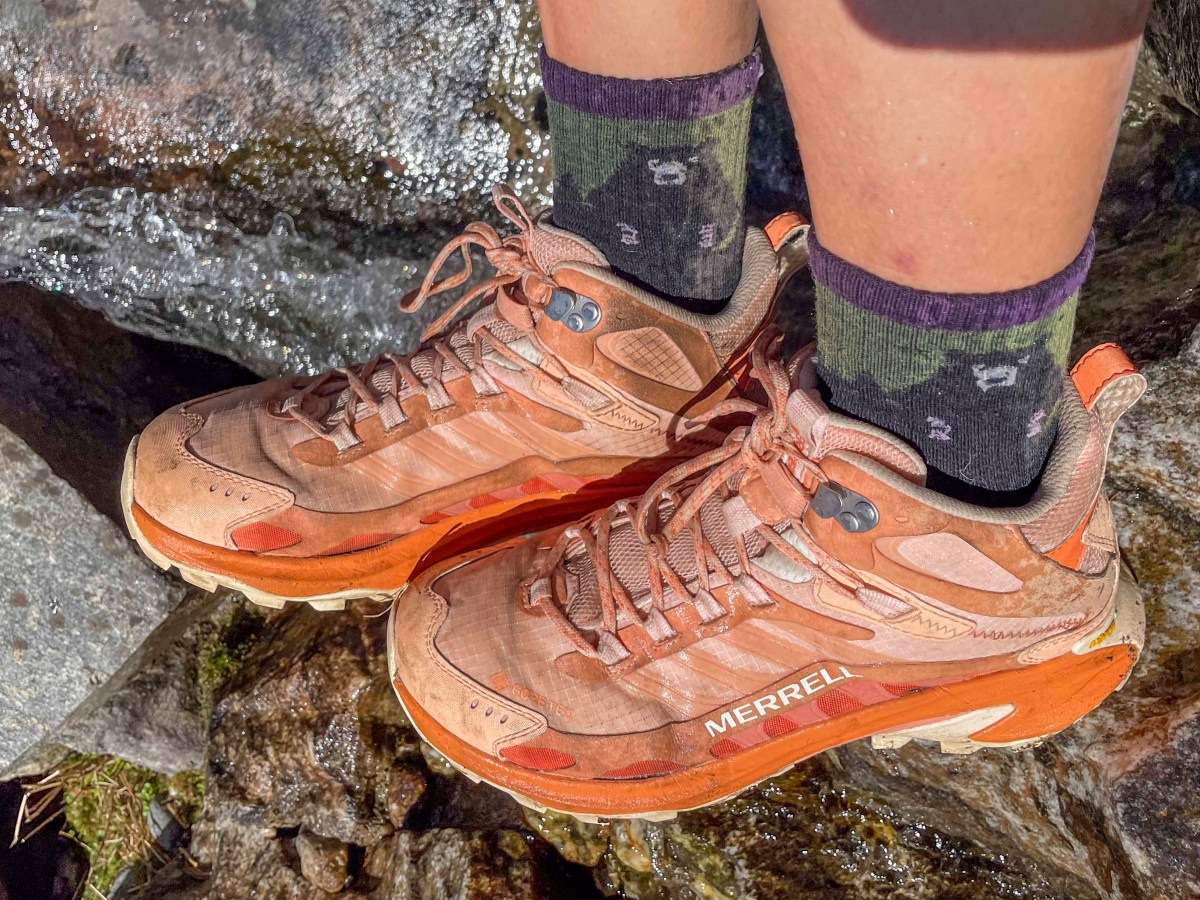testing the waterproof capabilities of the Merrell Moab Speed 2 Mid GTX with a creek crossing in Grand Teton National Park