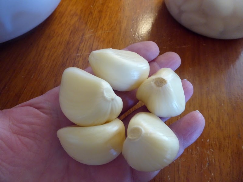 A garlic “Eureka” A garlic “Eureka”