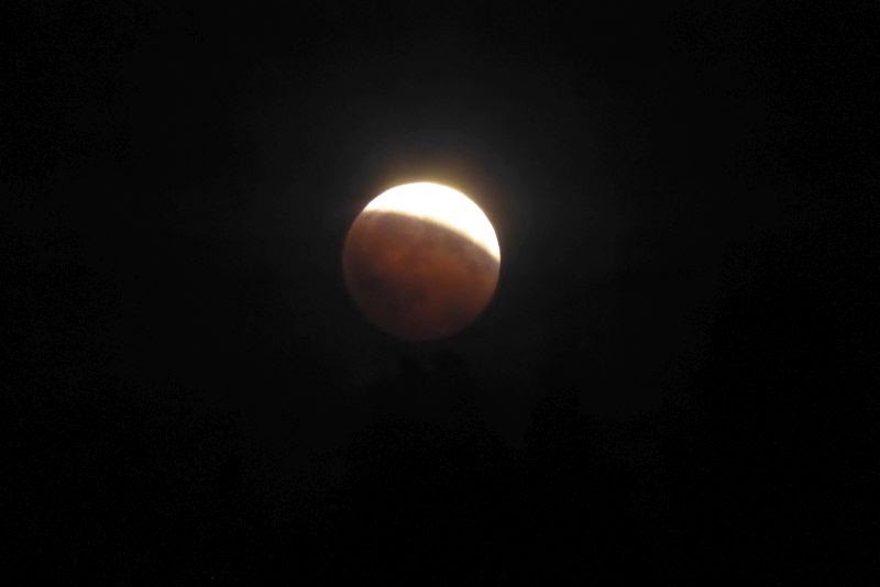 Did you see the lunar eclipse? Did you see the lunar eclipse?