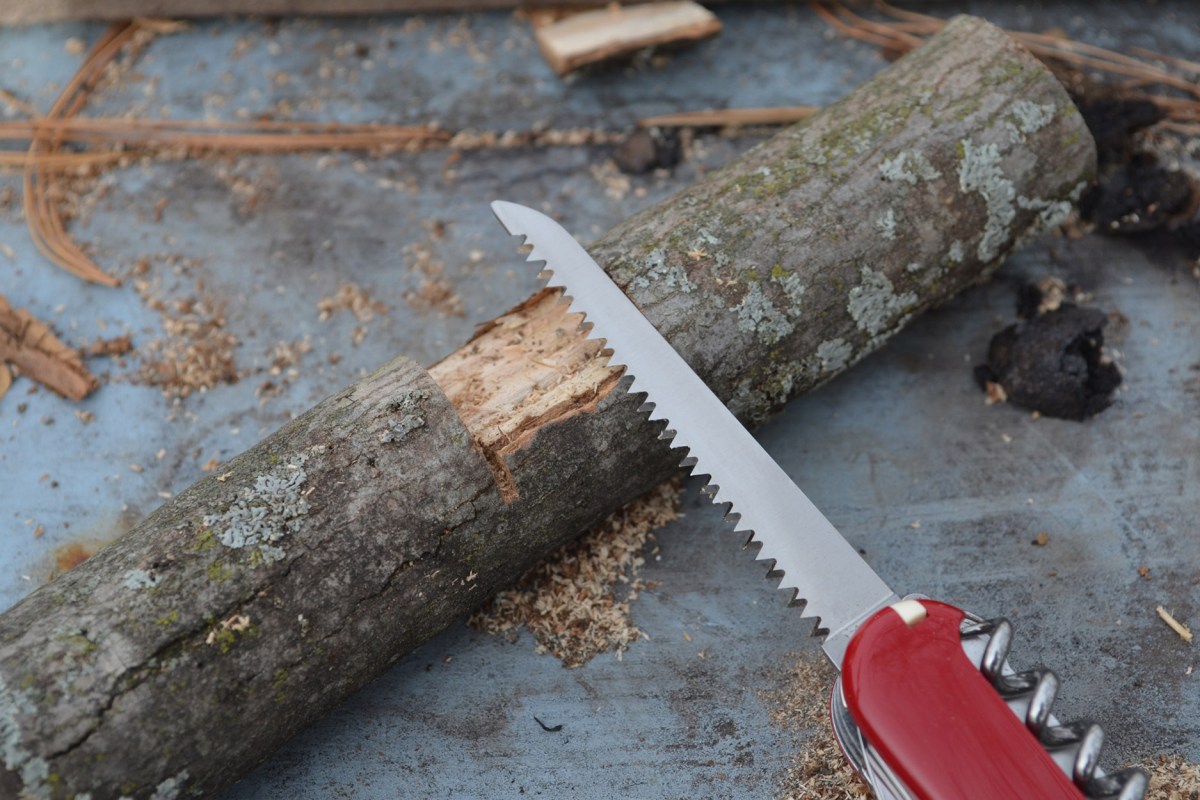 The Huntsman’s wood saw making a notch