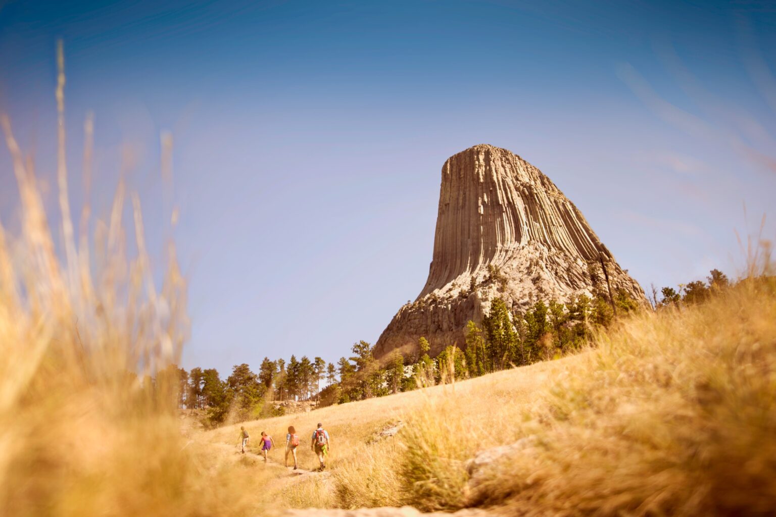 Wyoming Trails That Bring the Old West Back to Life