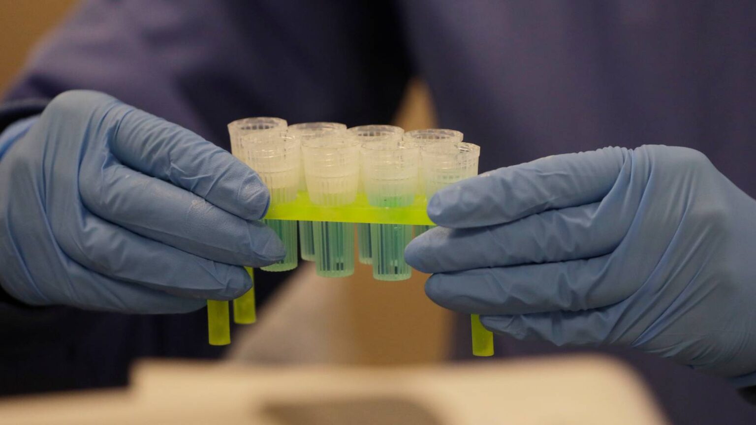 3.3 Million US Citizens’ Data Collected for ‘Massive Genetic Database for Policing’