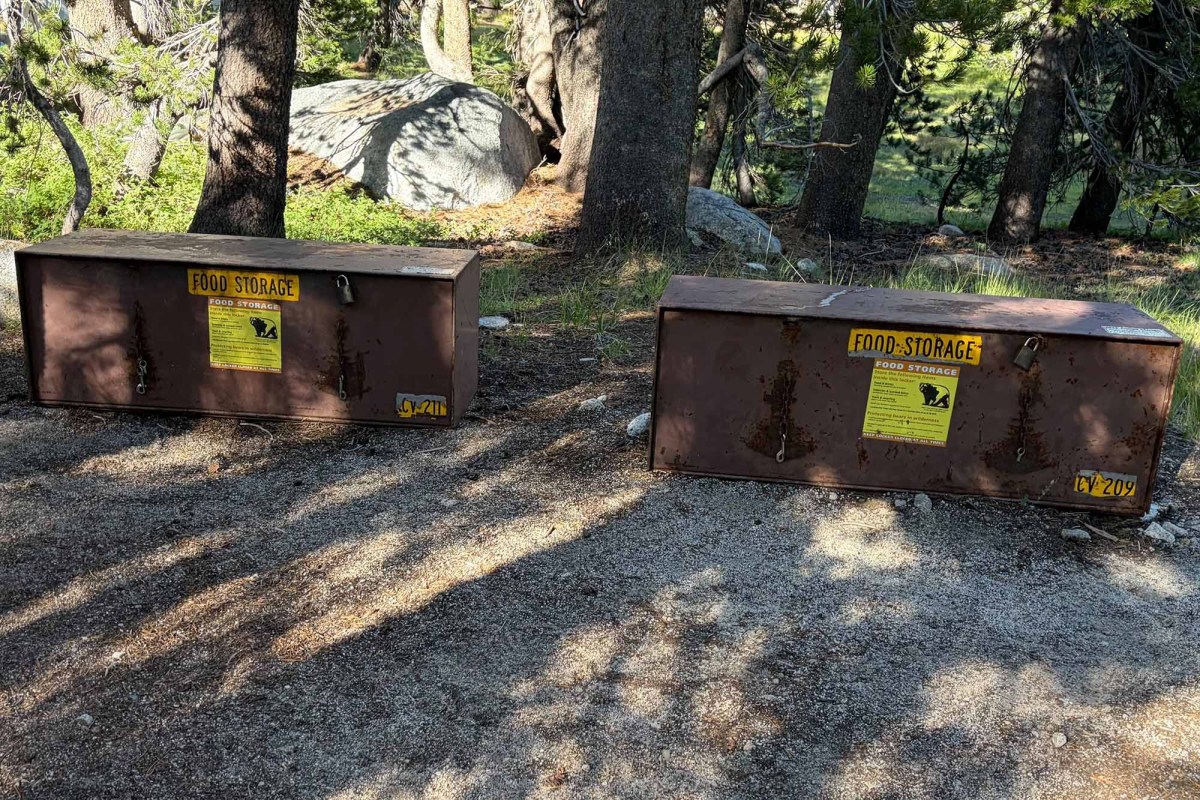 bear boxes yosemite