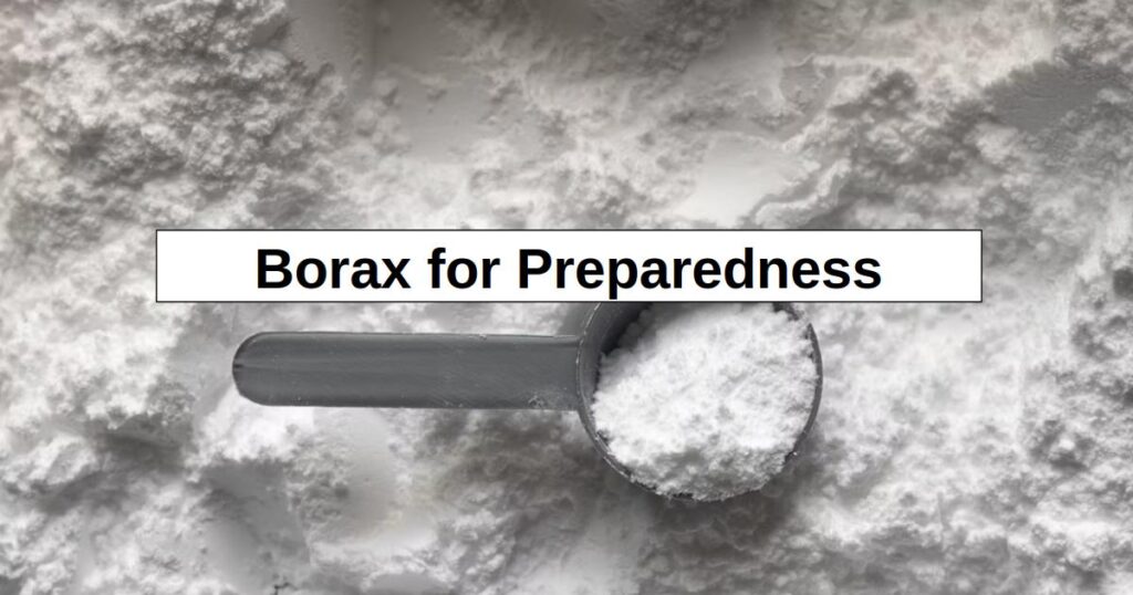Borax for Prepping (16 Uses)