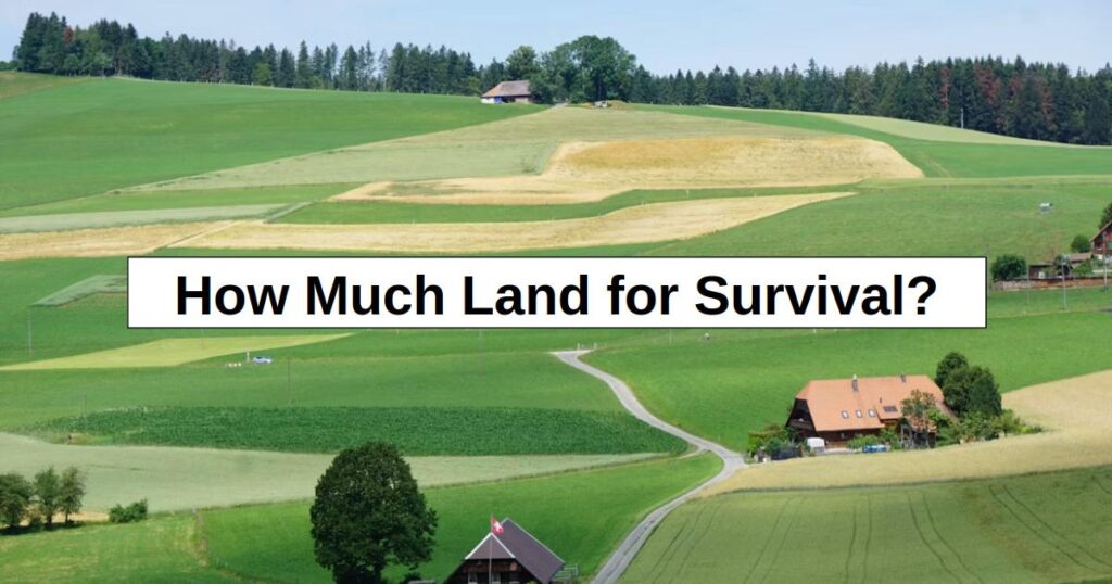 How Much Land for Survival? (My Answer Surprised Me)