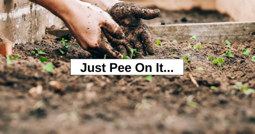 Just Pee On It…