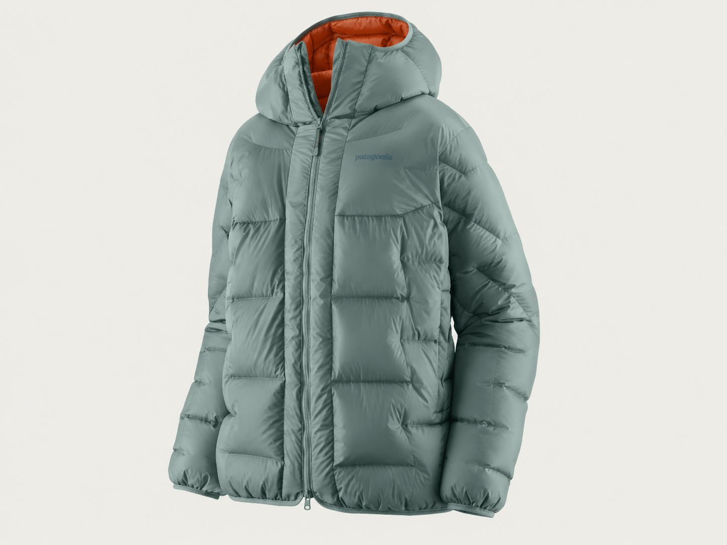 Patagonia Durable Down Parka