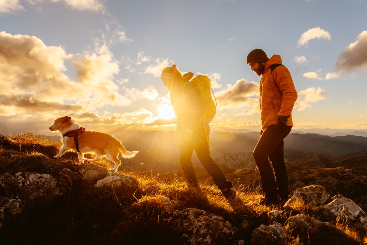 Why Outdoor Dog Lovers Should Pack This Instant Dog Food Why Outdoor Dog Lovers Should Pack This Instant Dog Food