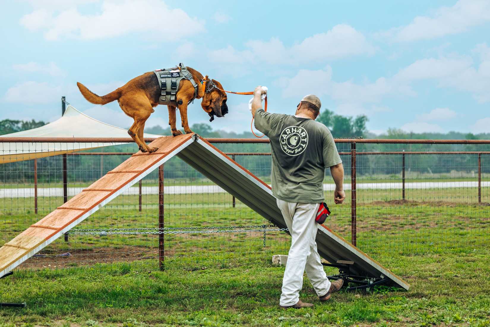 Active duty military, first responders and veterans turn to the treatment program Warriors Heart for K9 companionship and support. (Warriors Heart).