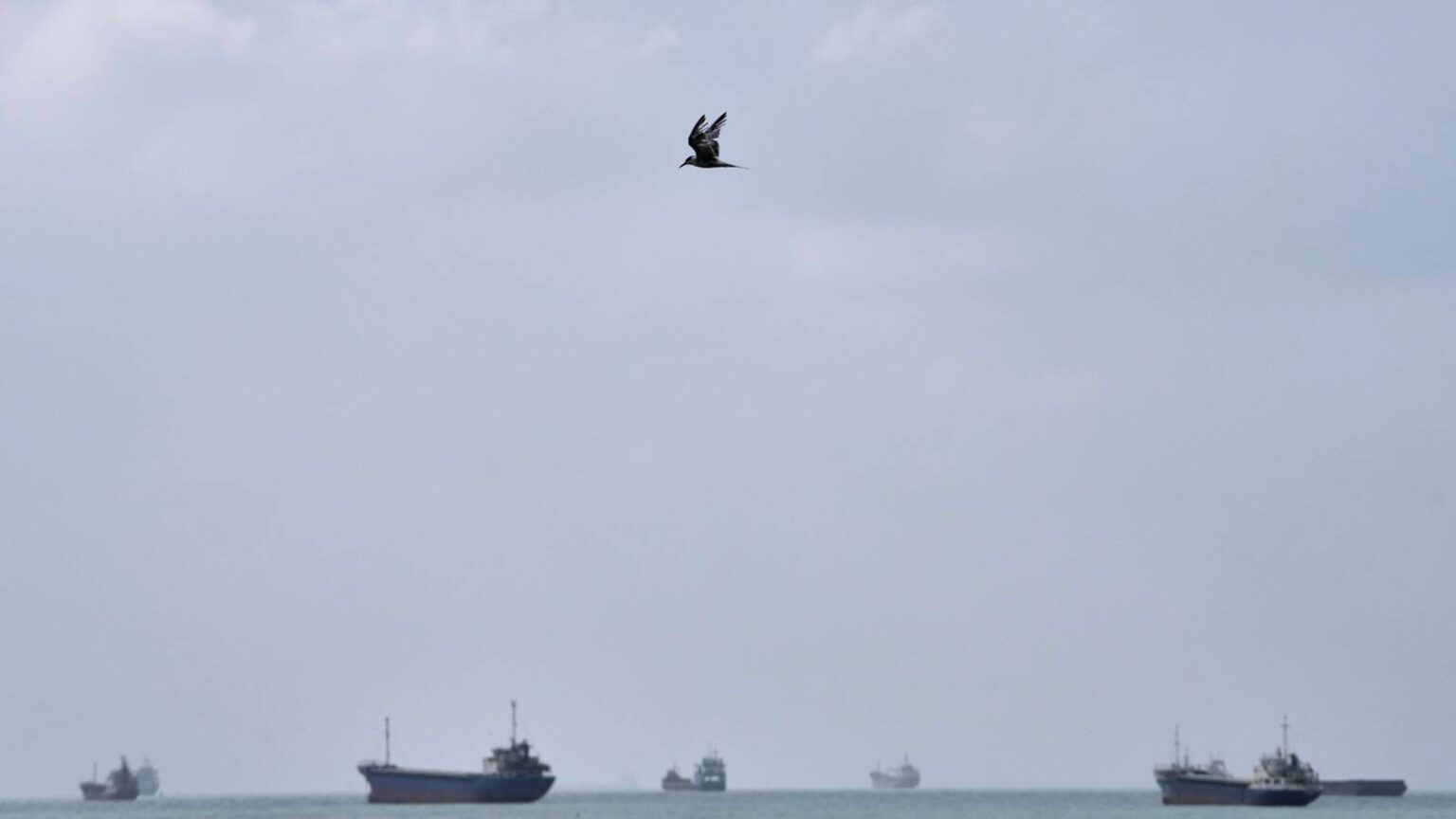 US Hits Iranian Oil Tankers After Attacks on Navy Ships US Hits Iranian Oil Tankers After Attacks on Navy Ships