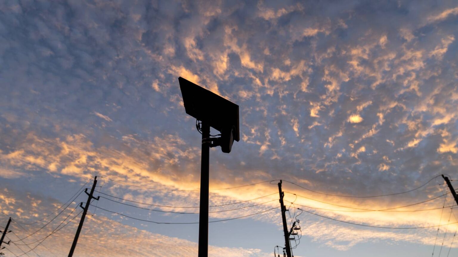 Iraq War Veteran Claims Flock Camera Error Led to Police Stop at Gunpoint Iraq War Veteran Claims Flock Camera Error Led to Police Stop at Gunpoint