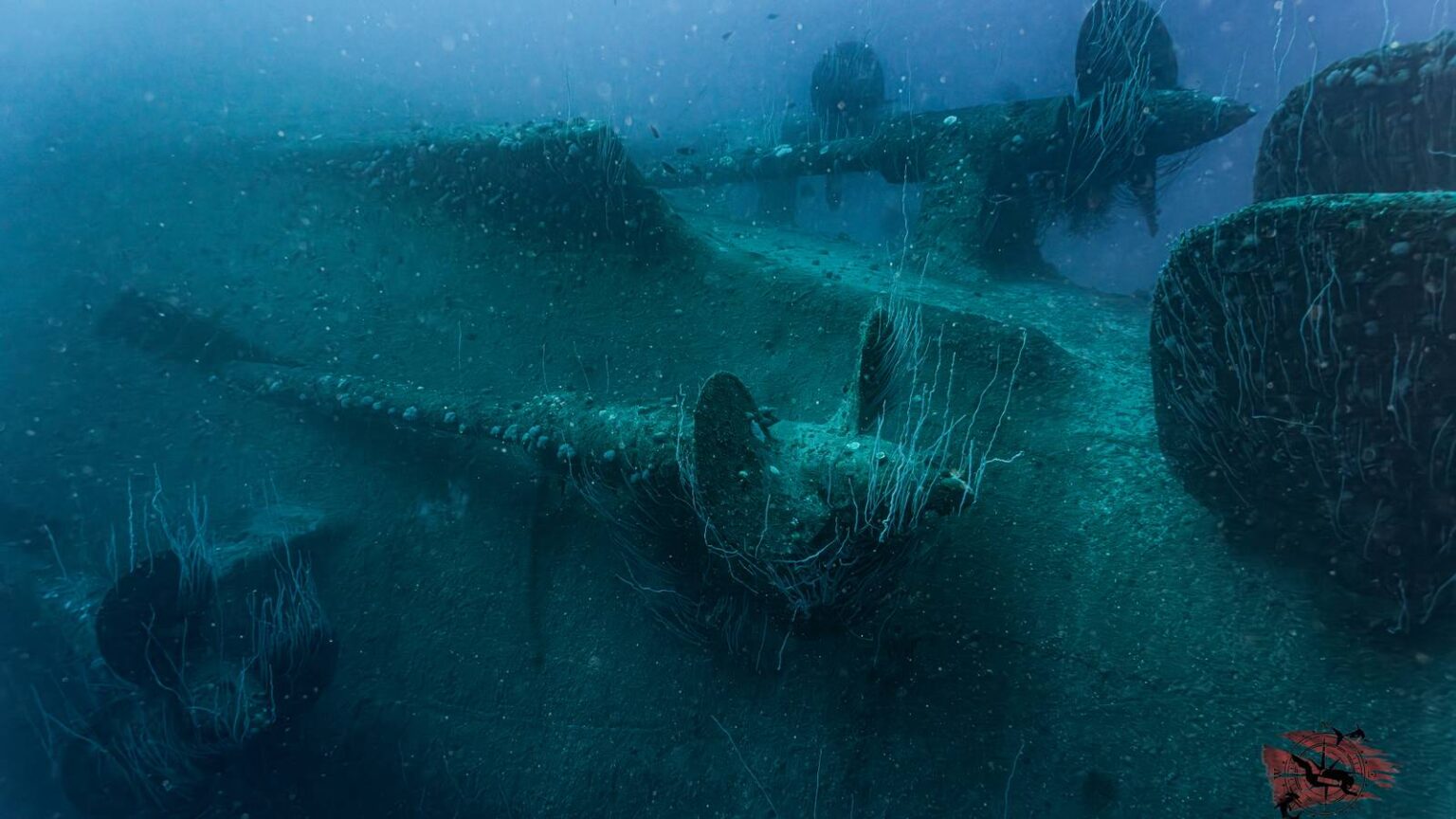 Bikini Atoll’s Sunken ‘Ghost Fleet’ 80 Years After Nuclear Tests Bikini Atoll’s Sunken ‘Ghost Fleet’ 80 Years After Nuclear Tests